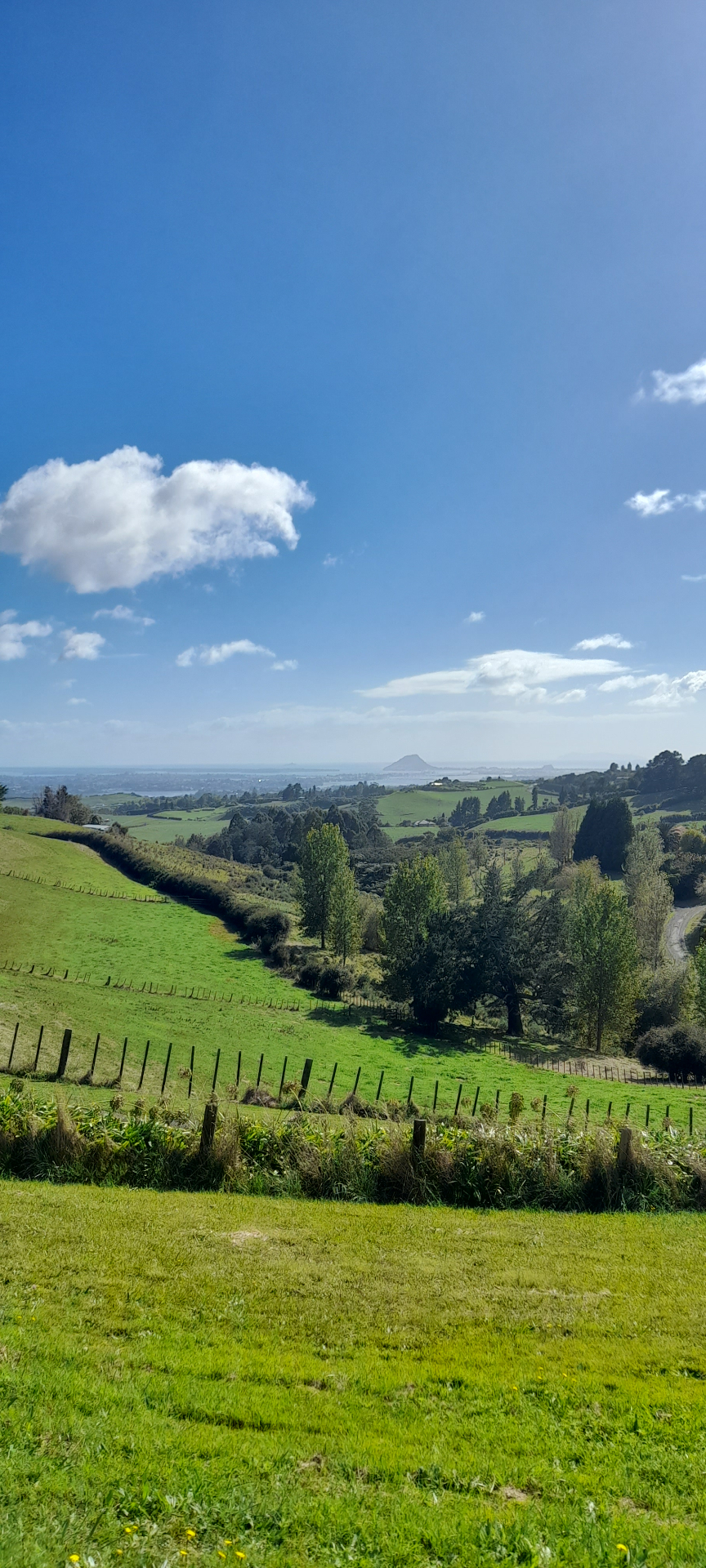 Bay of Plenty countryside view toward Mt Maunganui